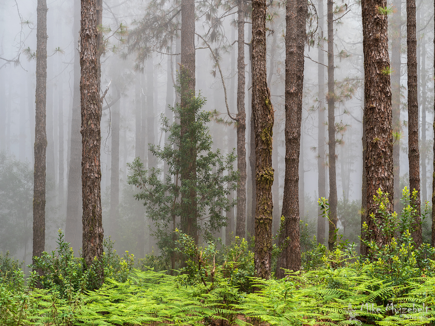 Basistraining Natuur Voor Professionals